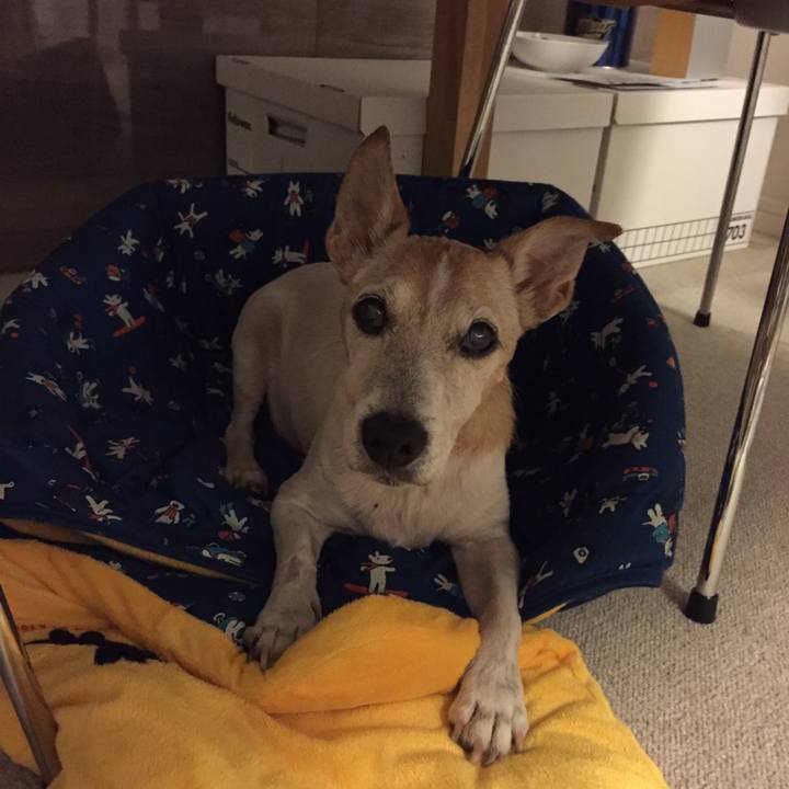 3f95397c 2fd1 4525 a145 34f7d4c91aa8