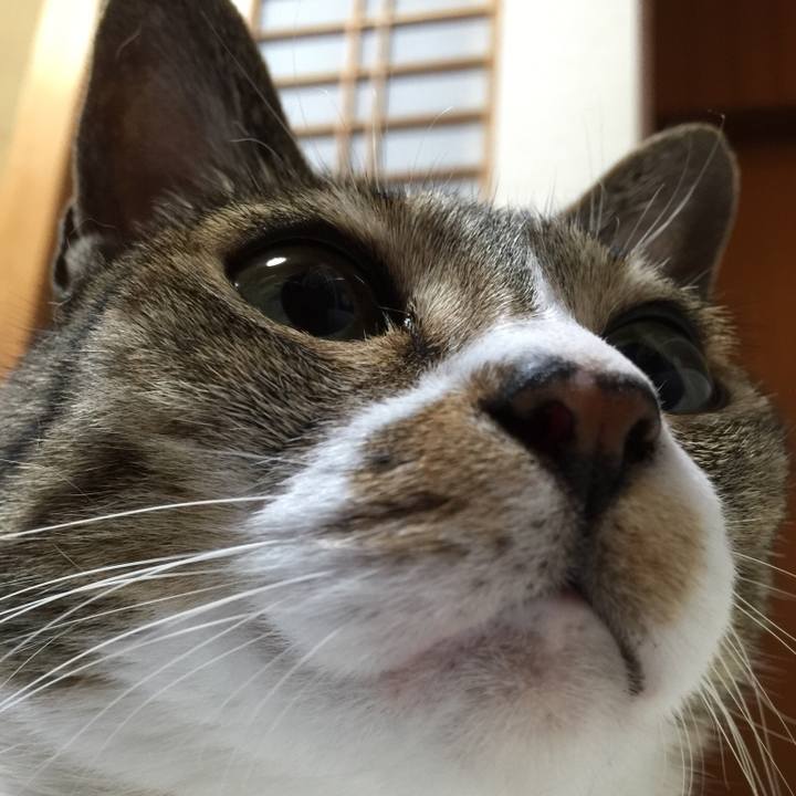 3f95631a a7c6 4d51 a02b beb7f81b70f4