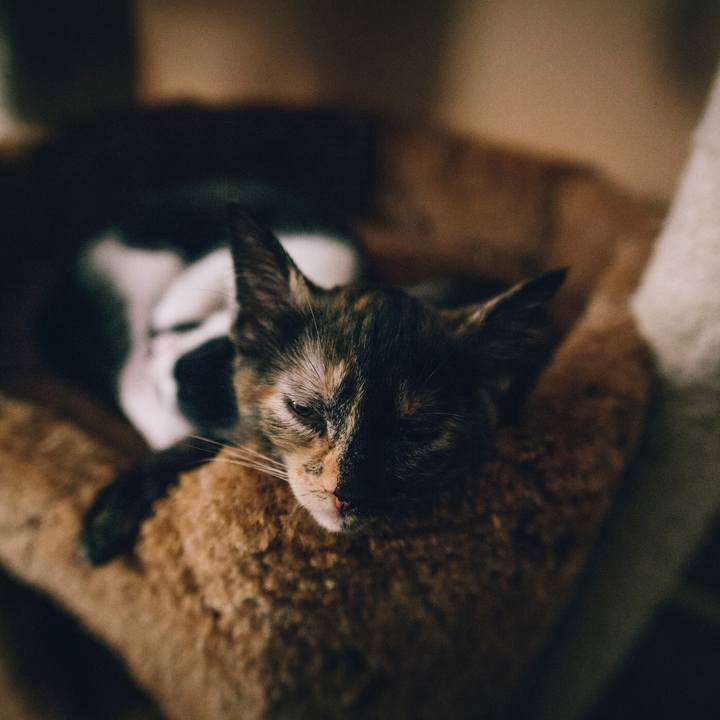 3f958081 6bab 4618 a7b8 230dd6743b82