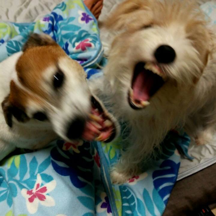 3f95d3ea 696c 4fe9 ab18 824a568f9c1b