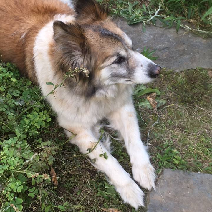 3f961231 ed5e 4274 9820 5fd1cdb20a5c