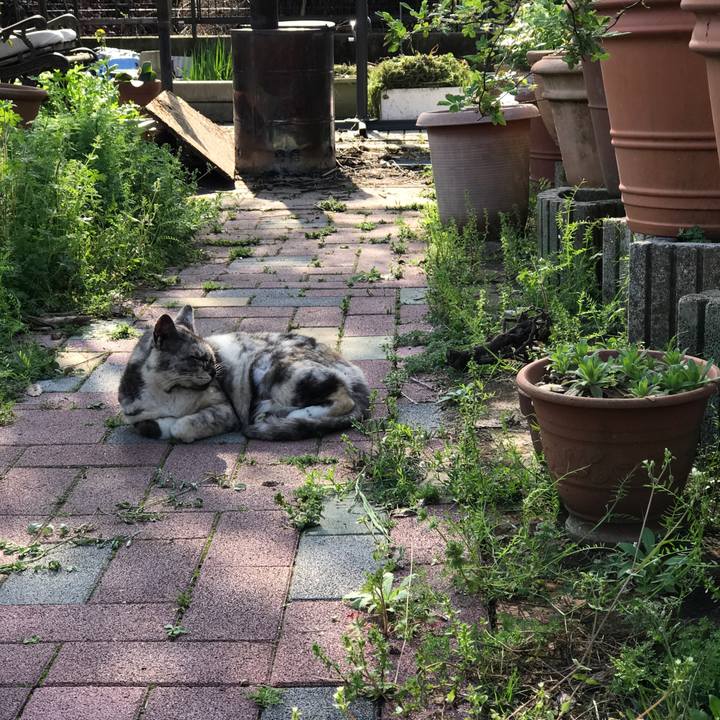 3f96e081 070c 477f 8234 1f695e3d0a10