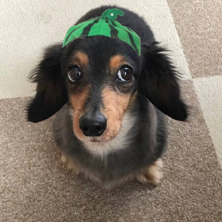 3f96fa73 5343 4b66 8f40 8d0bbb39dfa3