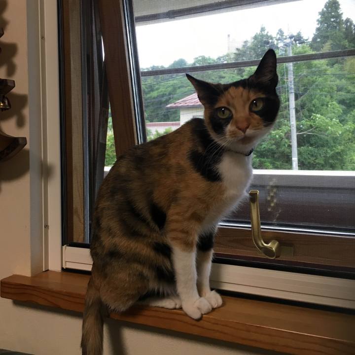 3f97cade c767 4903 81a6 5626030ad6e0