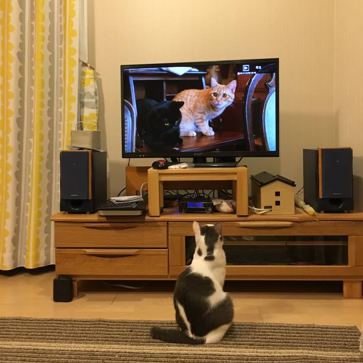 3f982527 2025 463c 87c8 089726eb51fa