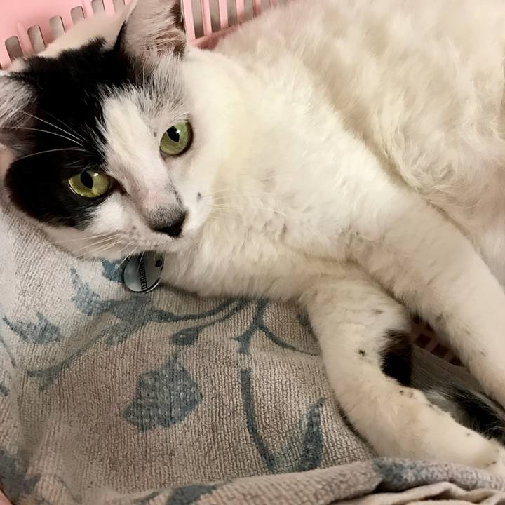 3f9825f7 a0b3 421a 81e7 6e4132bfe48b