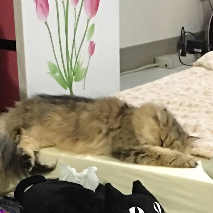 3f98c4fa 1454 40cf 819f 36e715ffd6f1