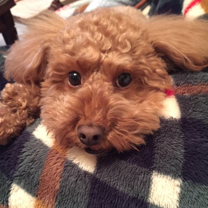 3f9afd03 4c61 4ed2 aaae 3e75f2ed336a