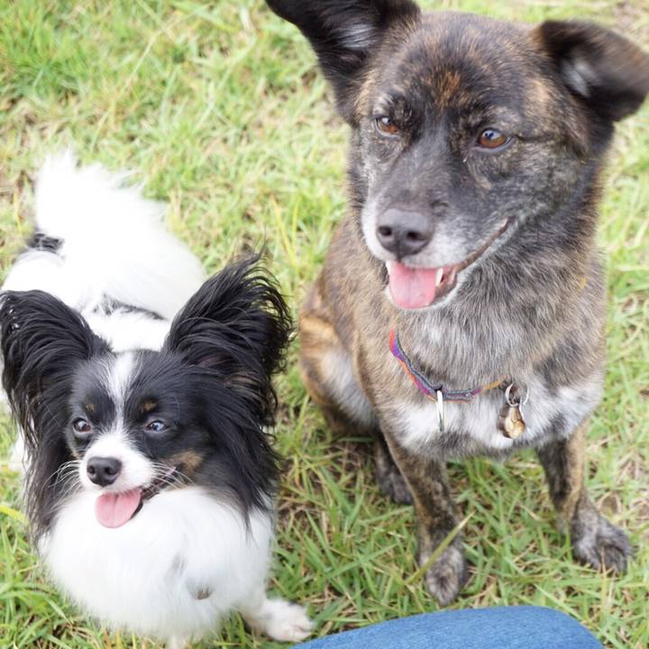 3f9b4583 12a6 4471 8303 dbe1c025ab33