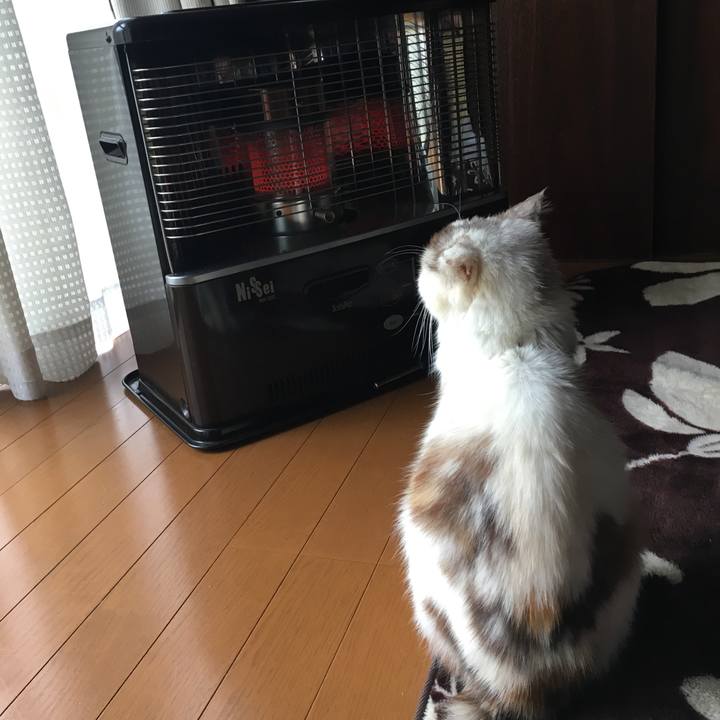 3f9b7e0f 7c2d 4ec1 bb9e 804d54a2768c