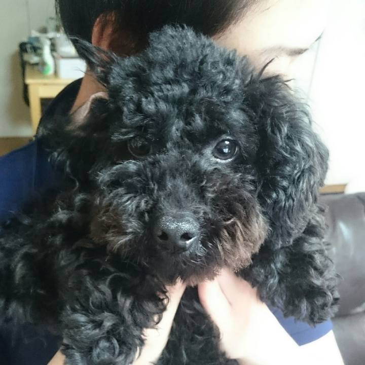 3f9c278f 2fe5 43d1 8433 1478a55bd81c