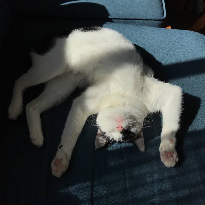 3f9c3c73 c91d 41c4 a0b9 e201babdfc08