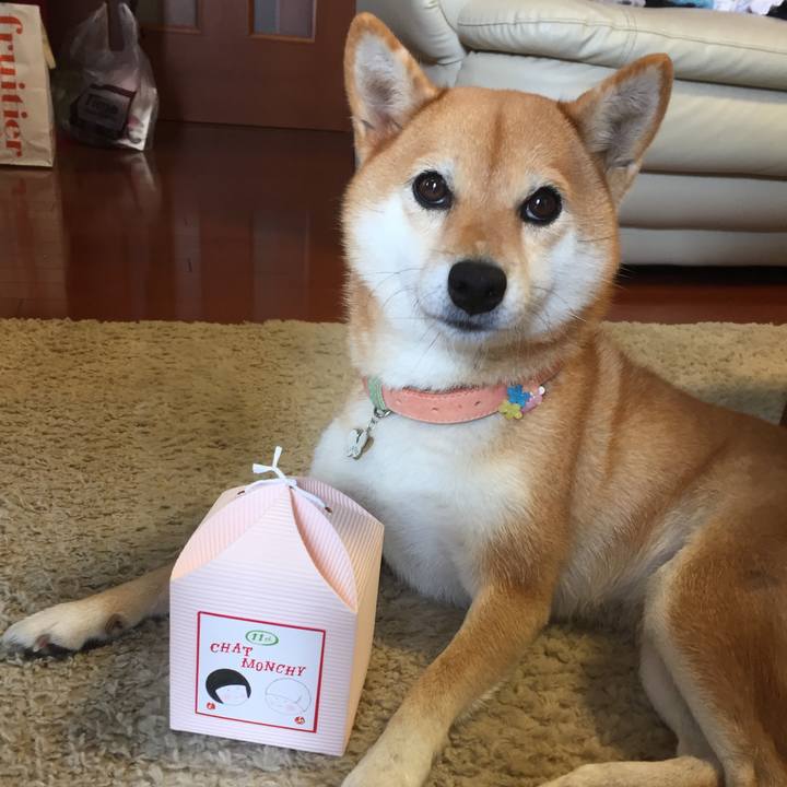 3f9c4853 282d 419e a028 ae1a1356df0b