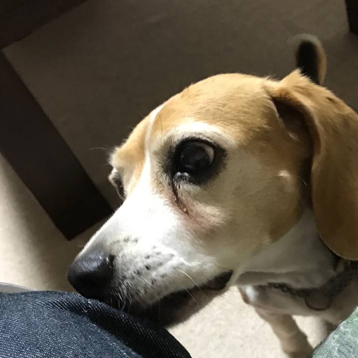 3f9c65c2 23a7 4507 92d2 bc7518c57656