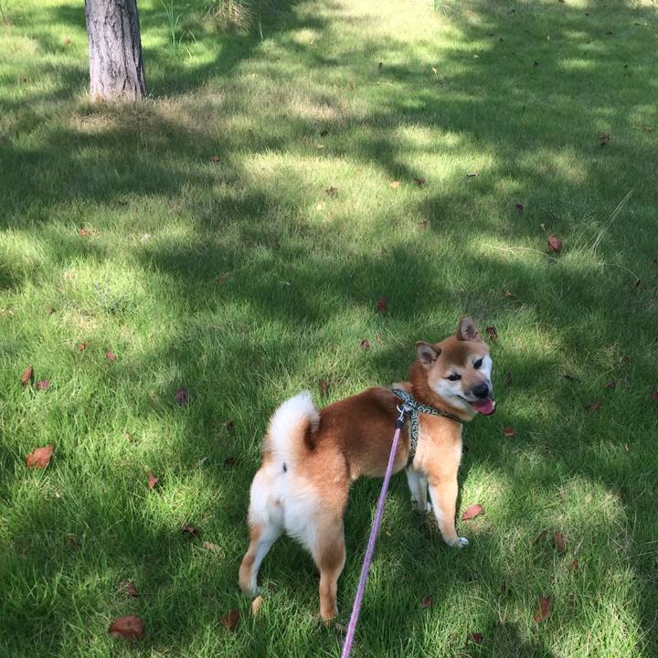 3f9c7b9b f5c9 4af5 a171 19e16f881839