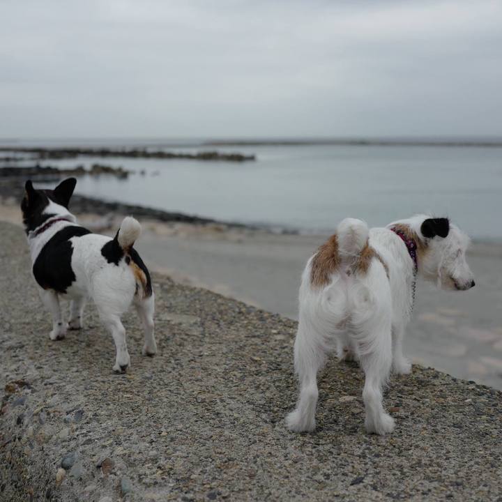 3f9c8216 0263 48f4 baf4 21496a252e8a