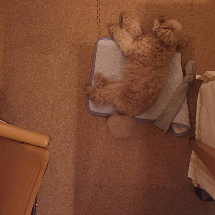 3f9c85df 74d7 41bd b119 96b42c95aeeb