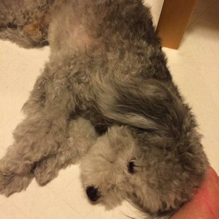 3f9d228c 8403 4b4d 9d9d 0f966a5850ce