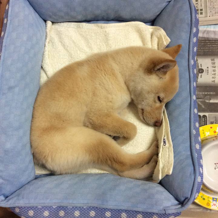 3f9d8787 b5e3 490c a9f3 96580b65ce9e