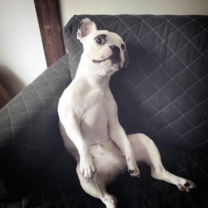 3f9de114 4f88 4161 9c0a 0f5696047f56