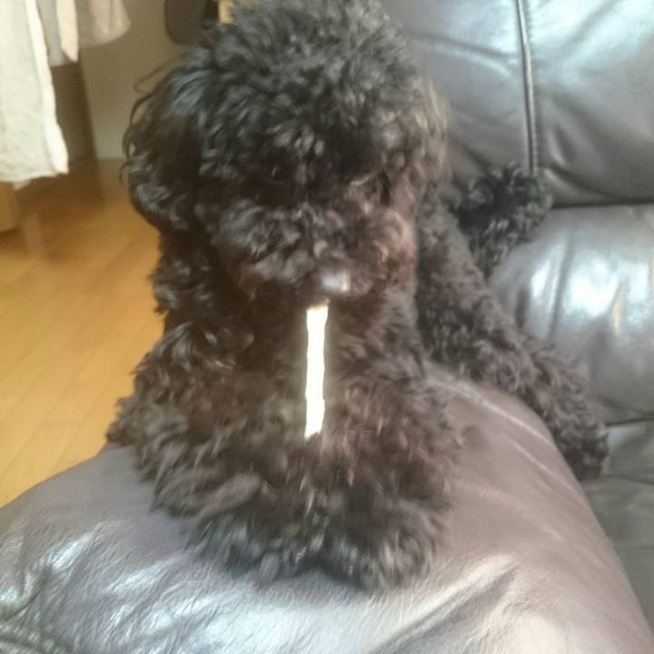 3f9e1223 0ea1 49bc a895 a7930ede73b7