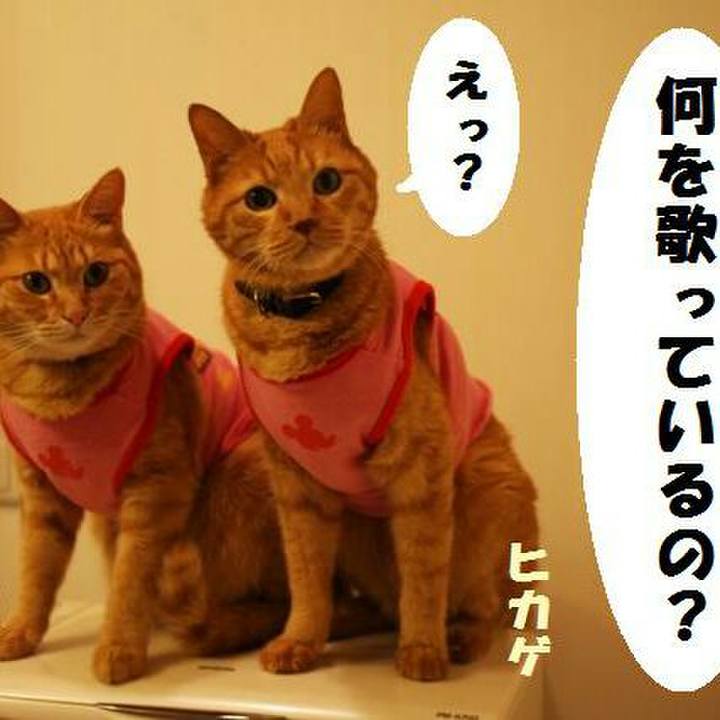 3f9ec95f 29f0 4a1a af5d dfd2ebc90eae