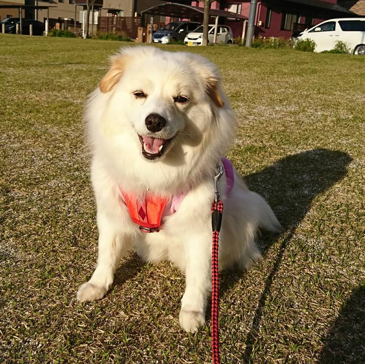 3f9edf39 6fbd 429d 8258 844c0bff05c2