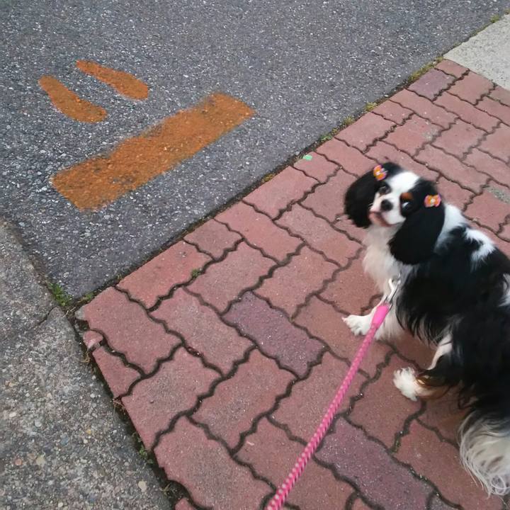 3f9ef998 08ef 4703 b14f aea2b43d133b