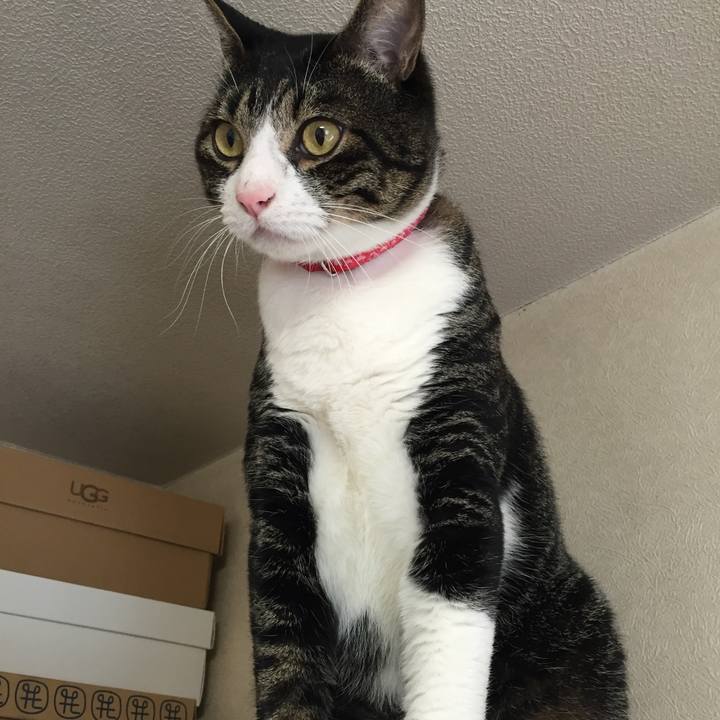 3fa0e6a7 adf0 4364 9d23 a49ccfcf7aef