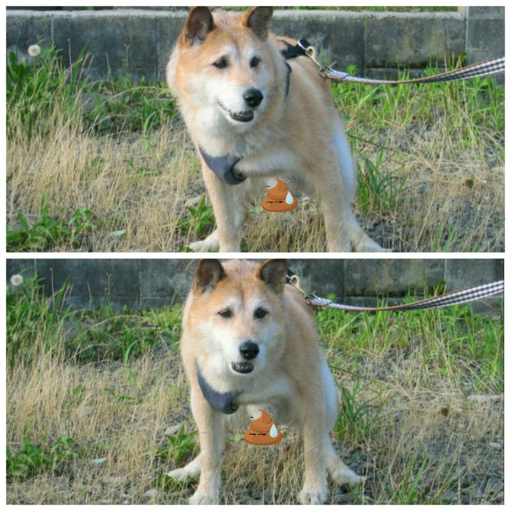 3fa15ca2 9319 45af 9c06 b4949dd913d7