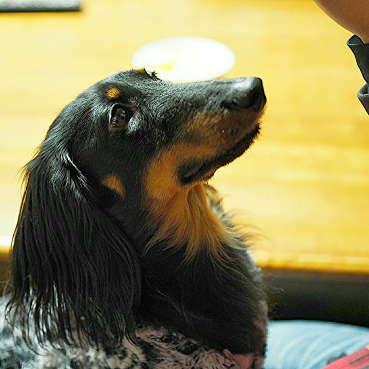 3fa1b130 a01a 477f bbc8 5c15538260fe