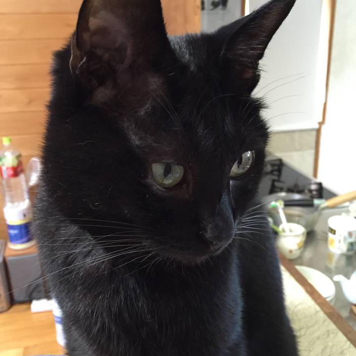 3fa1c26e 7e43 4985 becd af9b96194127