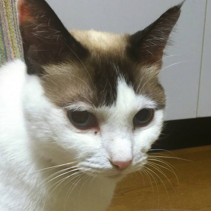 3fa244f9 29d0 4597 ae1b 70087d552681