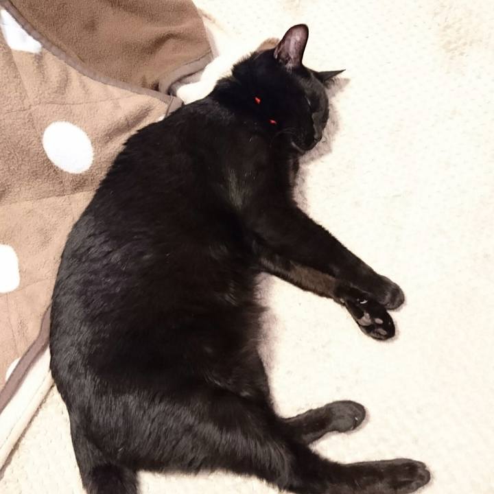 3fa2a9bb bd28 4be2 97ef d3f9c3869e57