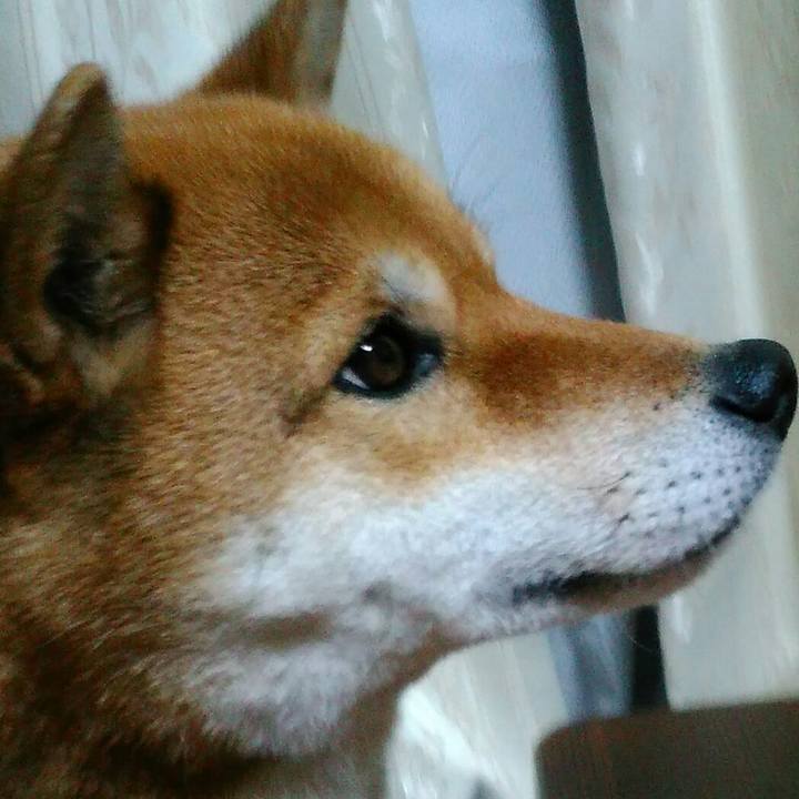 3fa2c577 4ea2 4589 abff 04eb61636f01