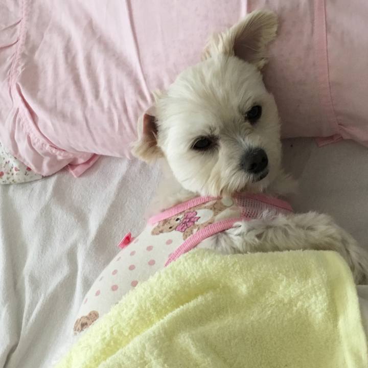 3fa2d819 1ce9 433f a3ab ef24e7f0d272