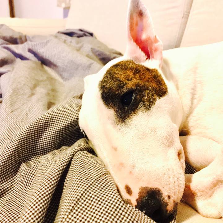 3fa43a73 0a5d 481a b505 299b6aa90156