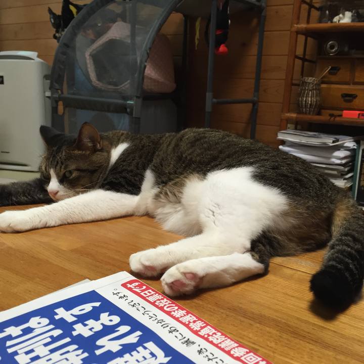 3fa46e78 0d7f 498e a356 b98e2a582499