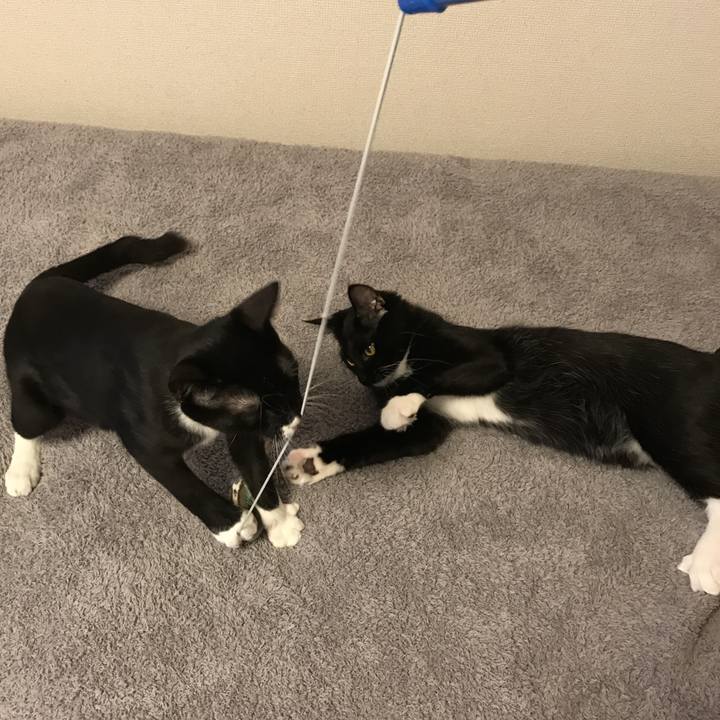 3fa4f807 c748 47fa ac64 c5e6c722e49f