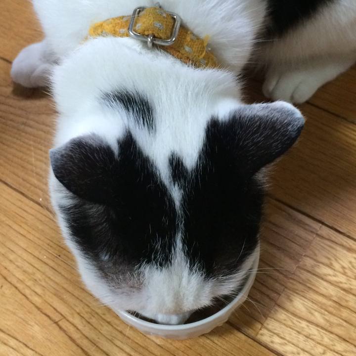 3fa4fc5f 4265 41e1 bb3c 7907b4559edd