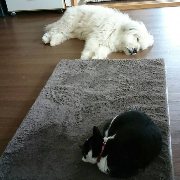 3fa525c6 d91a 4cf8 8c47 c29027bbc503