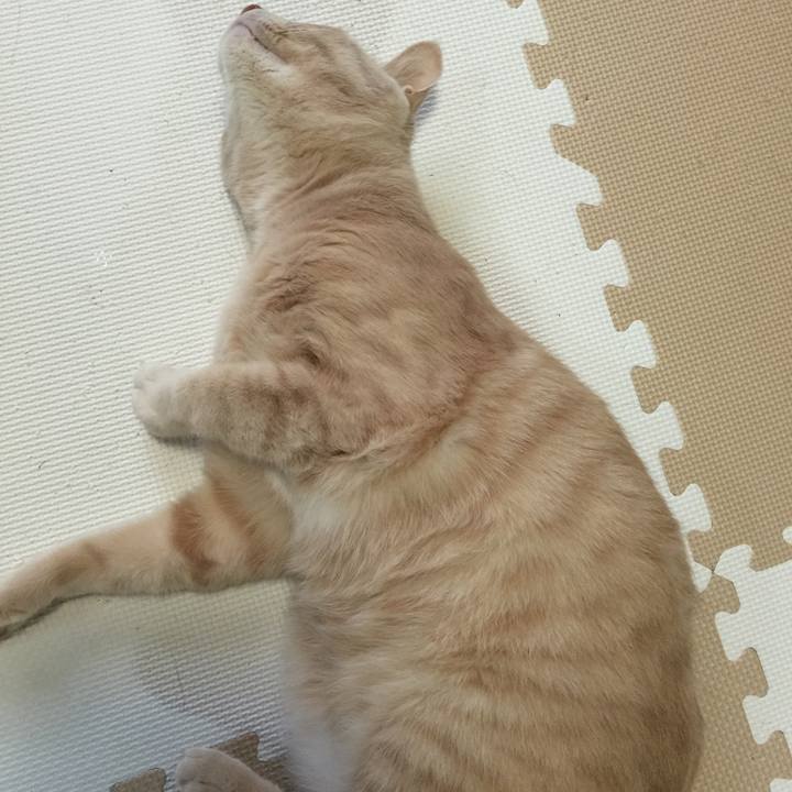 3fa5d0df 2c1e 4bec 8047 3b045bbf0753