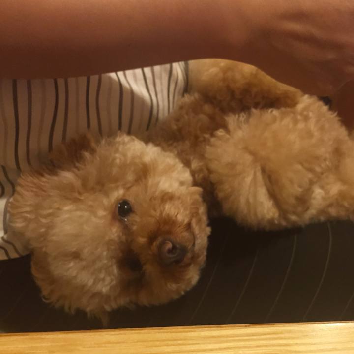 3fa6b9ab 0d49 4bd4 a8b0 8c4a89b3a7ad