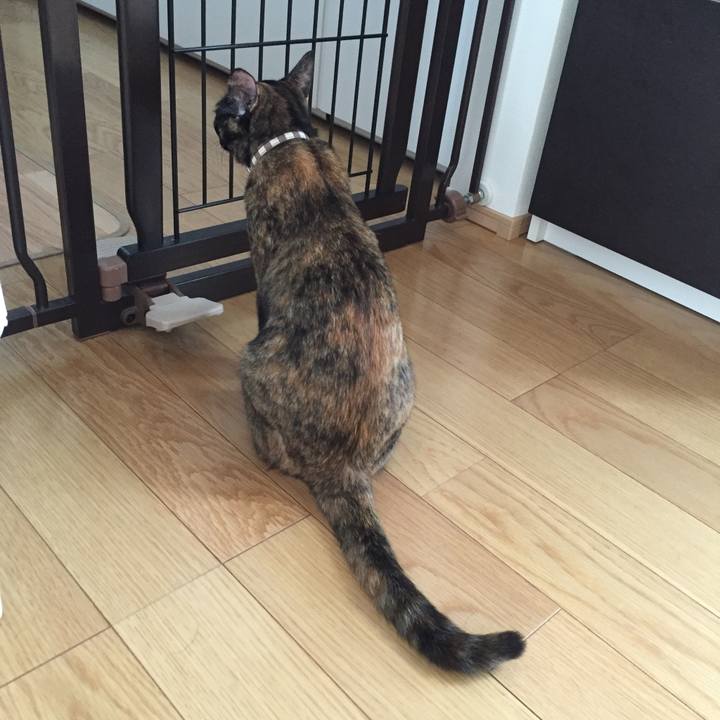 3fa6c143 e956 490d a6ca a5714c6d5f23