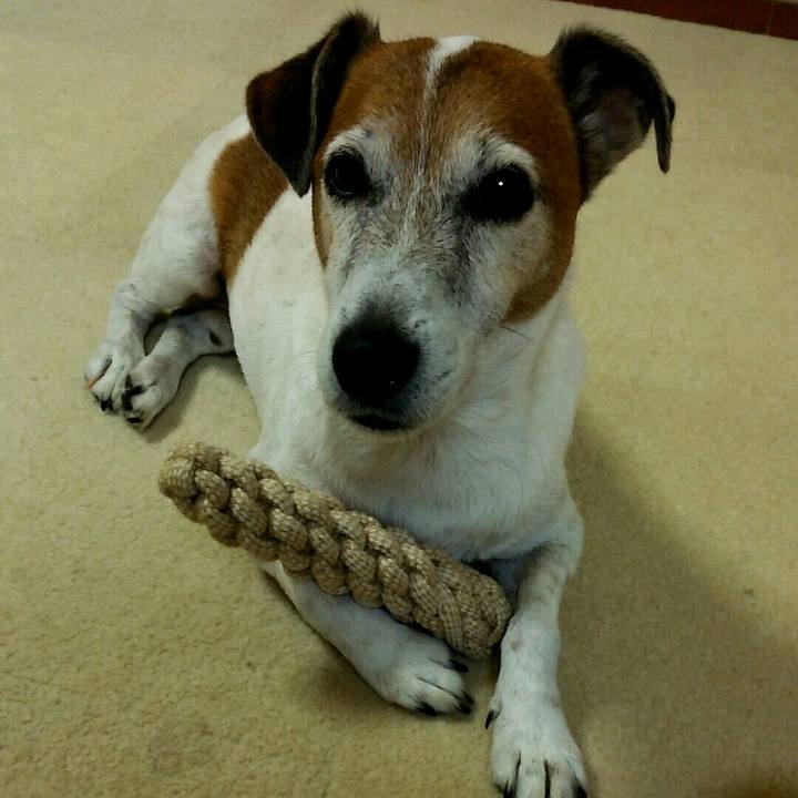 3fa6f848 2460 45db bcf2 838569392feb