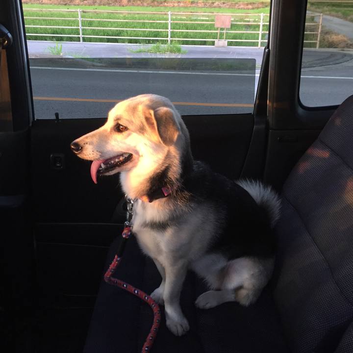 3fa7dfb0 e201 4f09 b0ab d606ce3b6000