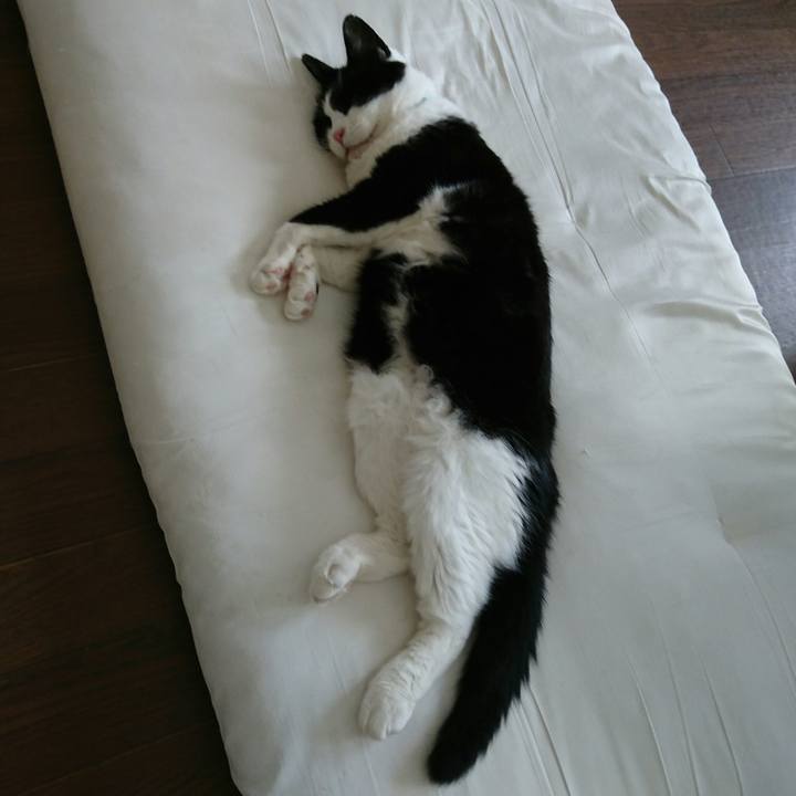 3fa81b16 1d46 4e97 a738 b80e2cb0bcbe