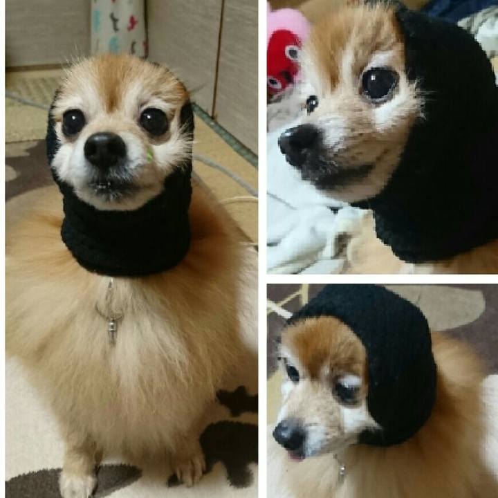 3fa84394 79d1 4b6b a4a8 f9c9b6494b71