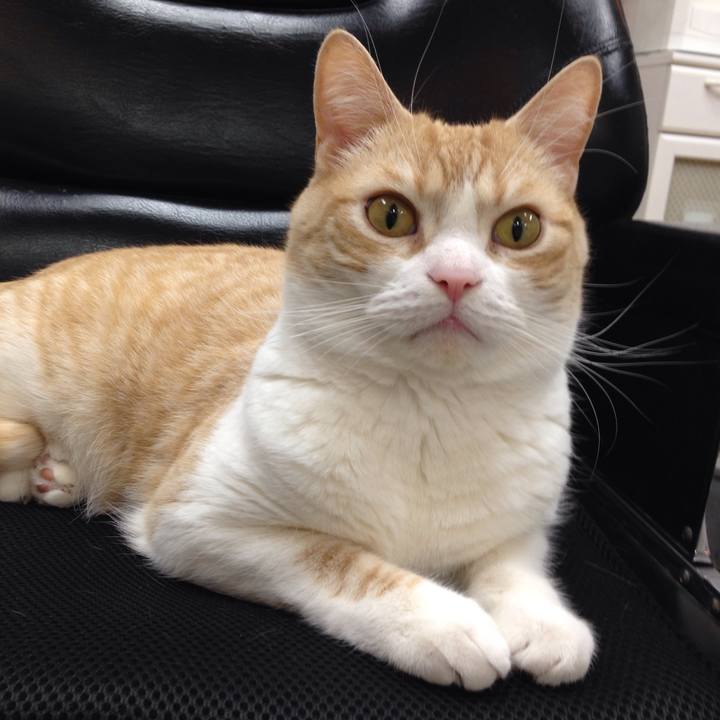 3fa8b3f8 4ba5 48dd 91c2 16a96f105d2b