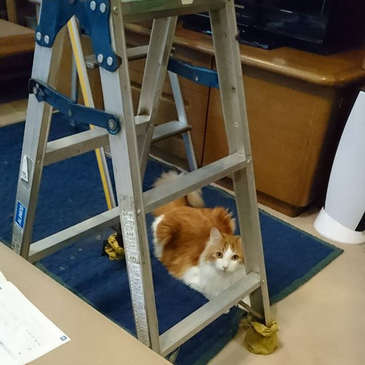 3fa9a4a7 d42b 4317 b644 f091fc42ec0a